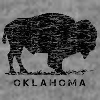 Oklahoma And American Buffalo Bison Sustainable Beanie