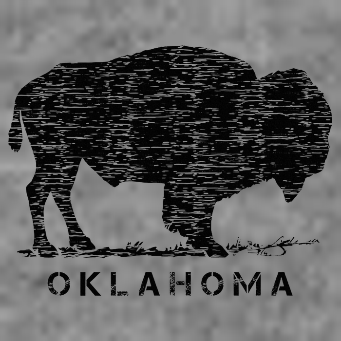 Oklahoma And American Buffalo Bison Sustainable Beanie