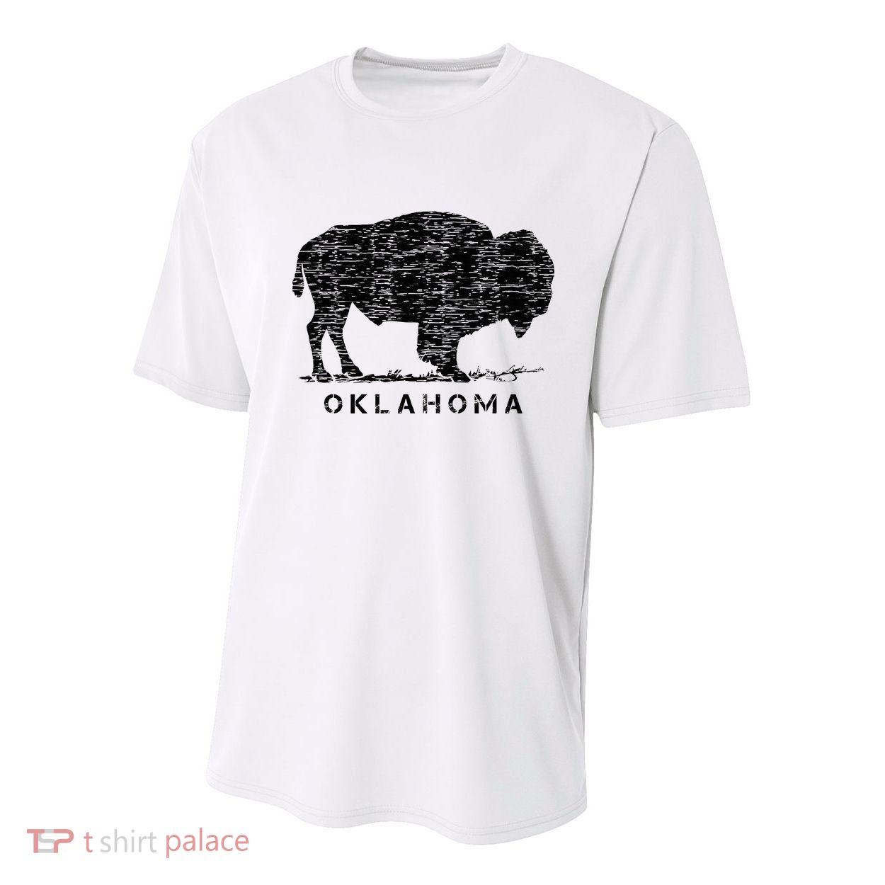 Oklahoma And American Buffalo Bison Youth Performance Sprint T-Shirt