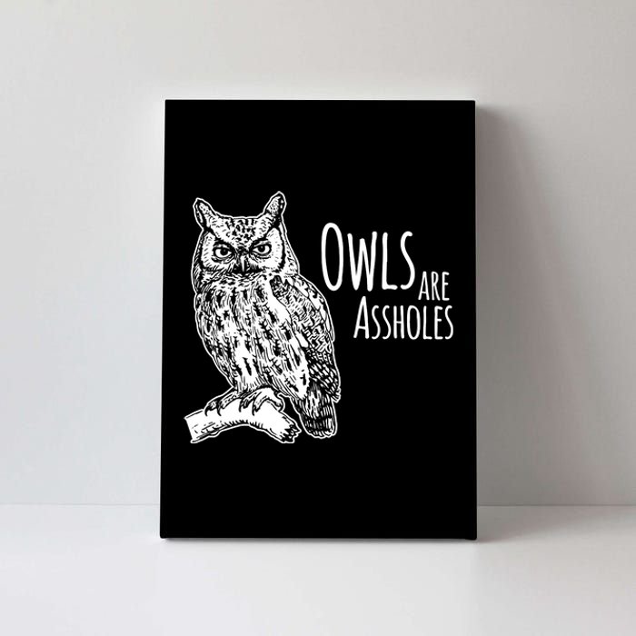 Owls Are Assholes Canvas