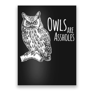 Owls Are Assholes Poster