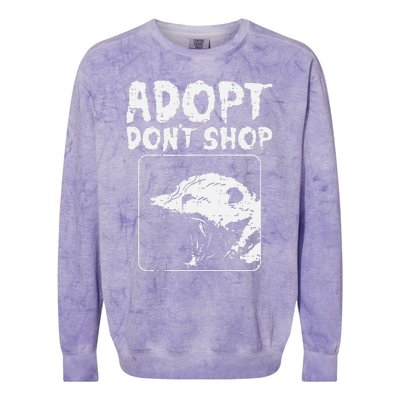 Opossum Adopt Dont Shop Possum S.T.R.E.E.T Cat Pet Colorblast Crewneck Sweatshirt