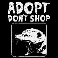 Opossum Adopt Dont Shop Possum S.T.R.E.E.T Cat Pet Wool Snapback Cap