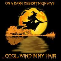 On A Dark Desert Highway Cool Wind In My Hair Witch Halloween T-Shirt