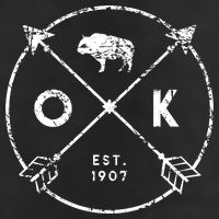 Oklahoma Adventure Est 1907 Buffalo Arrows State Gift 7 Panel Mesh Trucker Snapback Hat