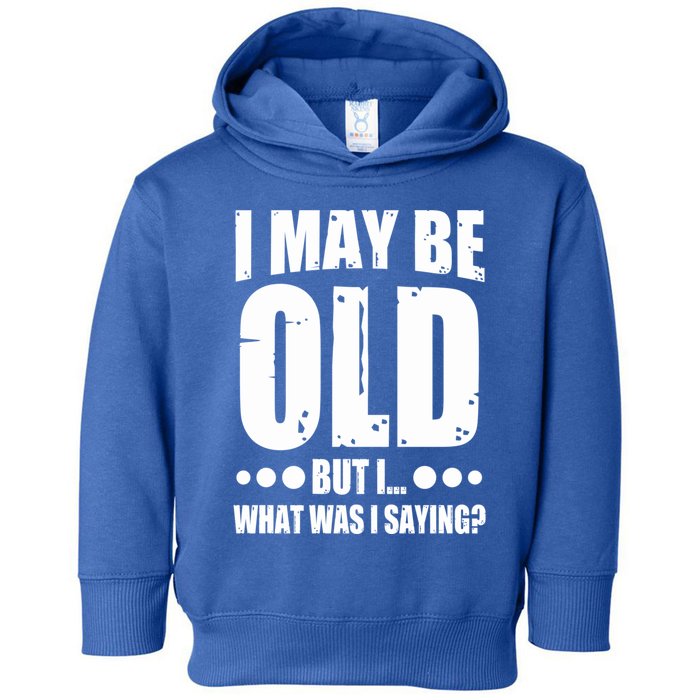 Old Age Joke Senior Joke I May Be Old But What Was I Saying Gift Toddler Hoodie