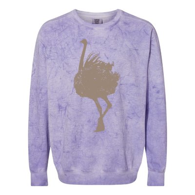 Ostrich Africa Ratite Gift Colorblast Crewneck Sweatshirt