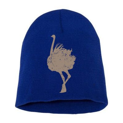 Ostrich Africa Ratite Gift Short Acrylic Beanie