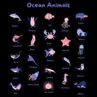 Ocean Animals Sea Marine Biology With Fish For Summer 16 in Basic Backpack