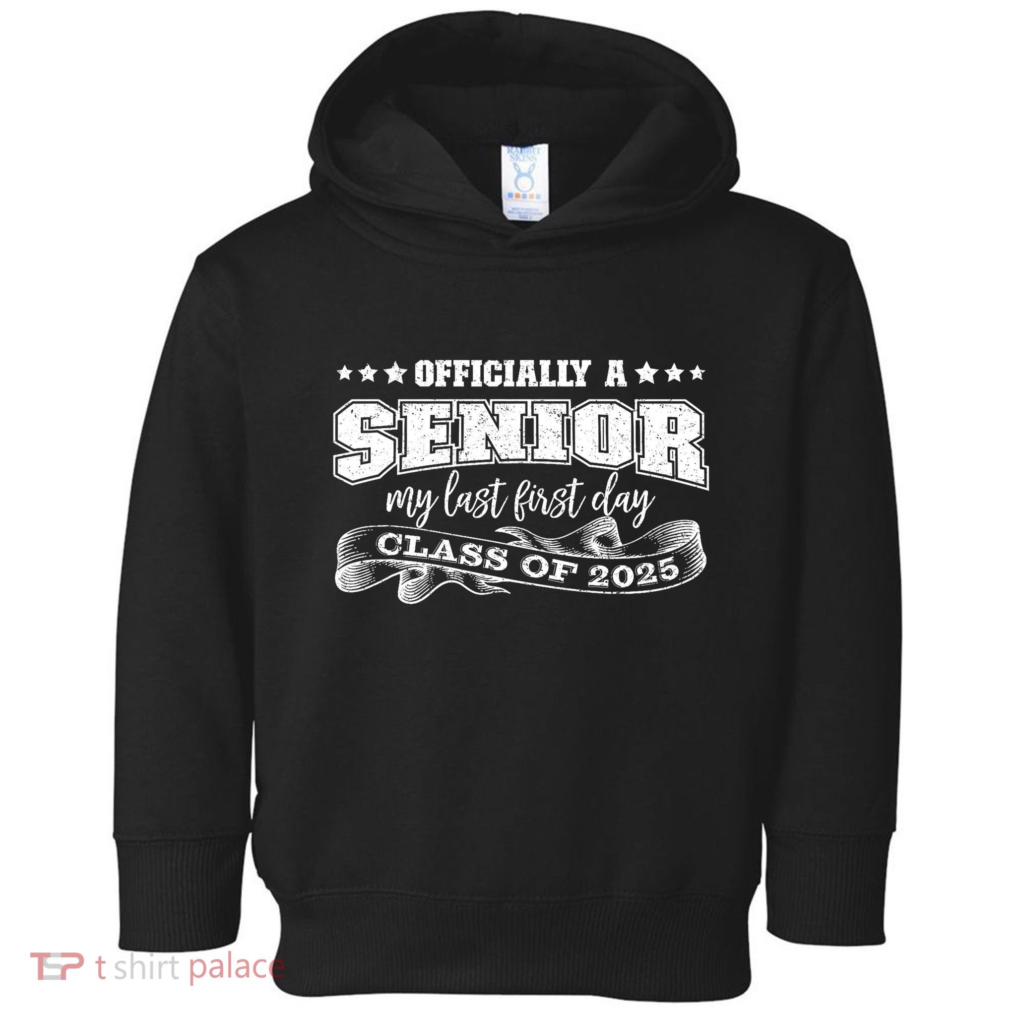 Officially A Senior My Last First Day Class Of 2025 Toddler Hoodie
