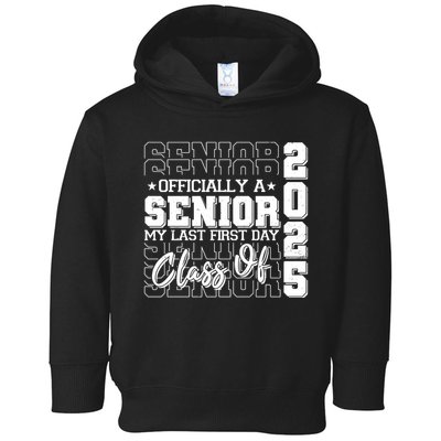 Officially A Senior My Last First Day Class Of 2025 Toddler Hoodie