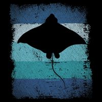 Ocean Animal Scuba Diving Stingray Retro Manta Ray Women's Perfect Tri Rocker Tank