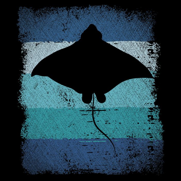 Ocean Animal Scuba Diving Stingray Retro Manta Ray Women's Perfect Tri Rocker Tank