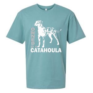 Owned By A Catahoula Leopard Dog Louisiana Cur Dog Sueded Cloud Jersey T-Shirt