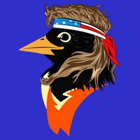 Oriole Bird American Hero Funny Trendy Premium T-Shirt