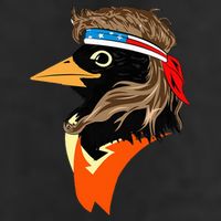 Oriole Bird American Hero Funny Trendy Adult Drive Performance Visor
