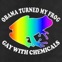 Obama Turned My Frog Gay With Chemicals Rainbow Adult Drive Performance Visor