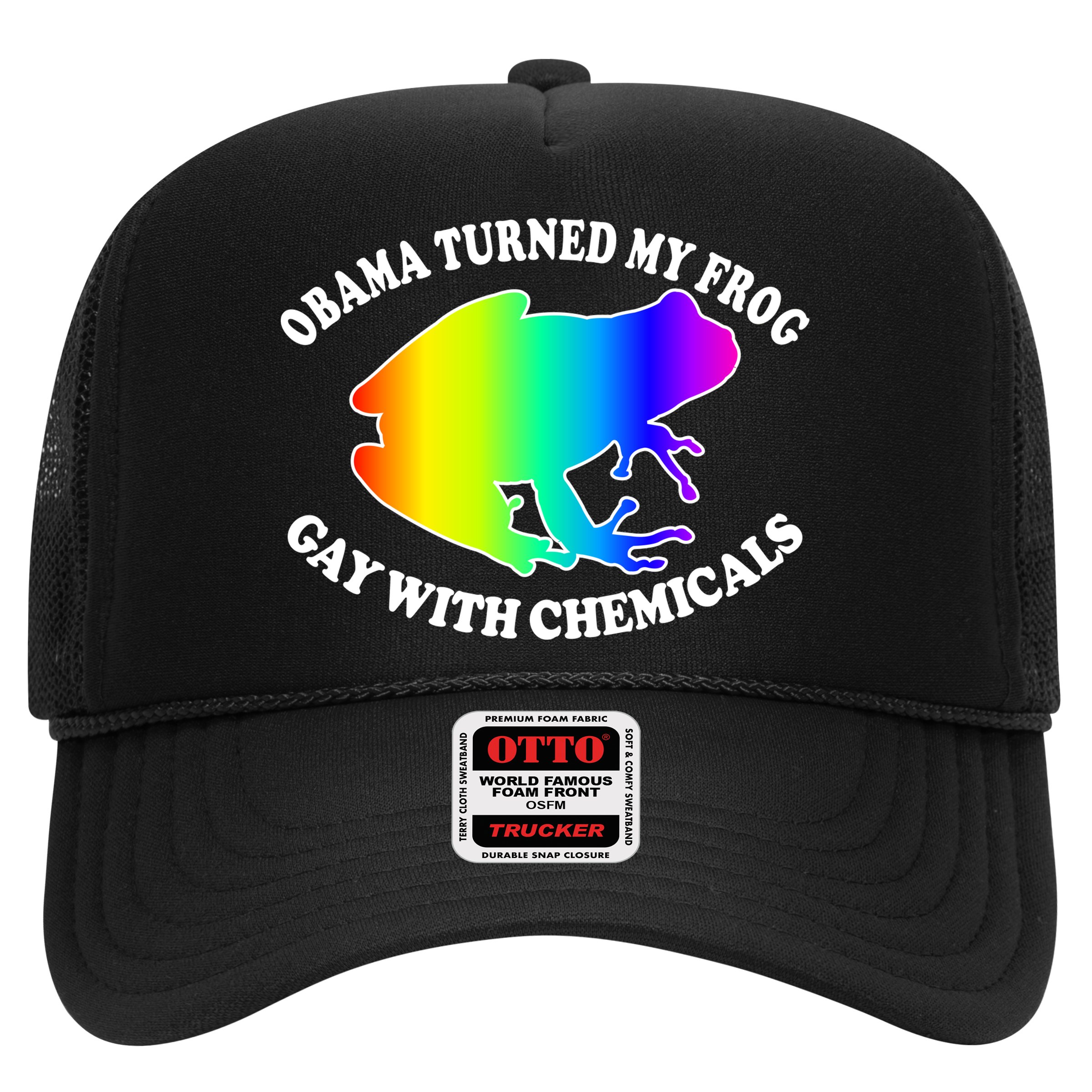 Obama Turned My Frog Gay With Chemicals Rainbow Hat