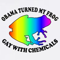 Obama Turned My Frog Gay With Chemicals Rainbow Garment-Dyed Sweatshirt