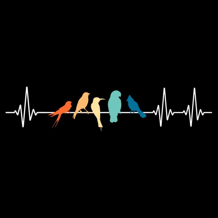 Ornithology Birdwatching Birder Heartbeat Gift Women's Crop Top Tee