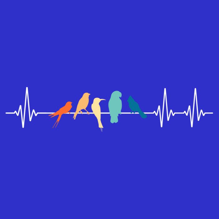 Ornithology Birdwatching Birder Heartbeat Gift Hoodie