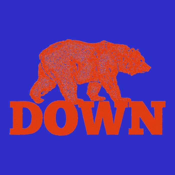 Orange Bear Custom Classic Down Tall T-Shirt