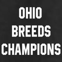 Ohio Breeds Champions Adult Drive Performance Visor