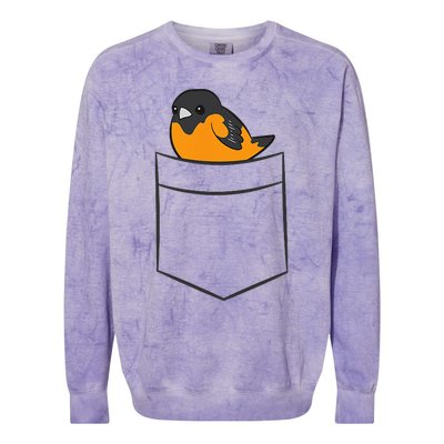 Oriole Bird In The Pocket Cute Pocket Oriole Colorblast Crewneck Sweatshirt