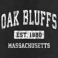 Oak Bluffs Massachusetts Ma Vintage Sports Established Beanie