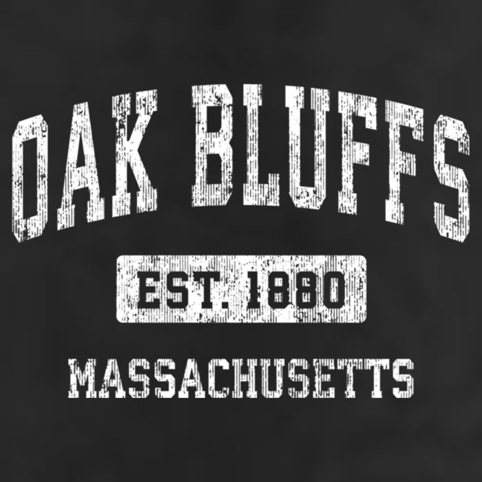 Oak Bluffs Massachusetts Ma Vintage Sports Established Beanie