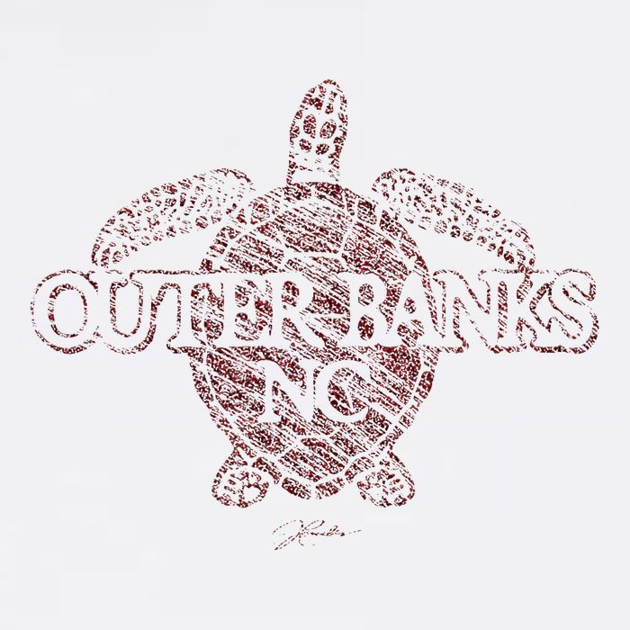 Outer B.A.N.K.S Nc Sea Turtle Flatbill Hat