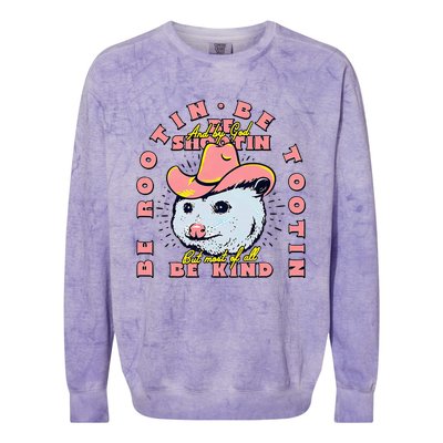 Opossum Bee Rootin Be Tootin Most Of All Be Kind Vintage Colorblast Crewneck Sweatshirt