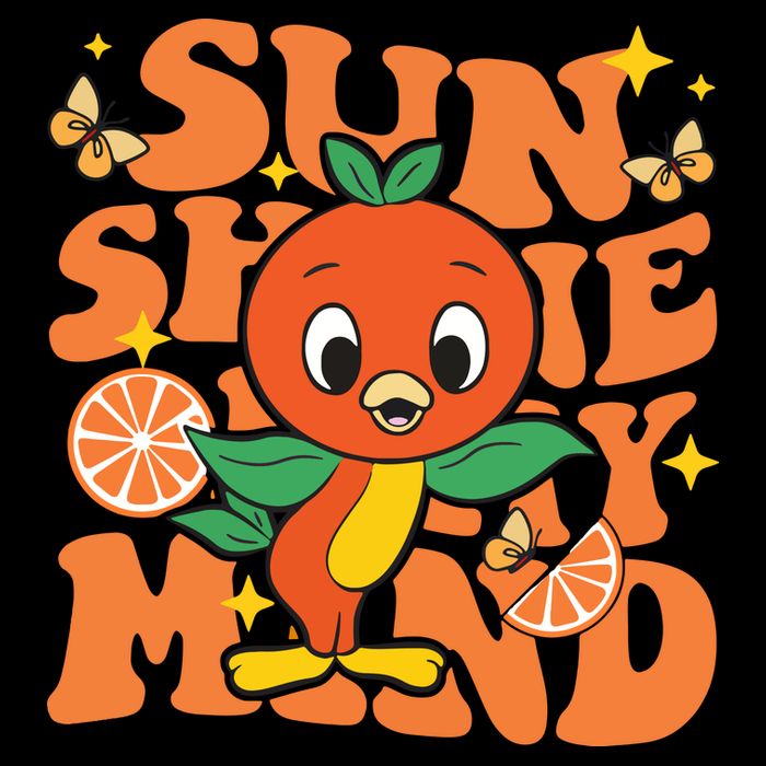 Orange Bird Sunshine Bucket Hat