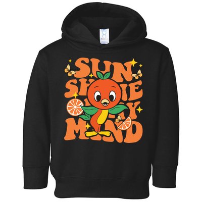 Orange Bird Sunshine Toddler Hoodie
