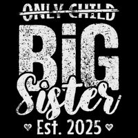 Only Child Big Sister 2025 Big Sis 2025 Ns Tank Top