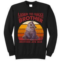 Owlbear Cub BaldurS Gate 3 I Used To Have Brother Vintage Tall Sweatshirt