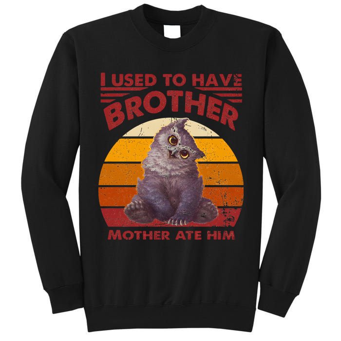 Owlbear Cub BaldurS Gate 3 I Used To Have Brother Vintage Tall Sweatshirt