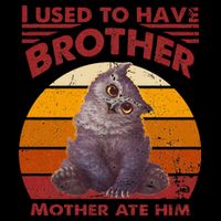 Owlbear Cub BaldurS Gate 3 I Used To Have Brother Vintage Tall Sweatshirt