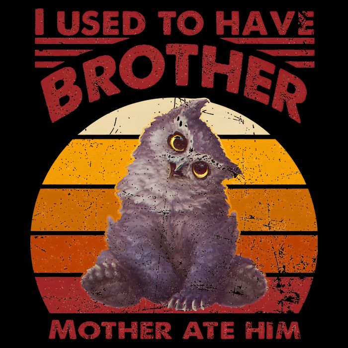 Owlbear Cub BaldurS Gate 3 I Used To Have Brother Vintage Tall Sweatshirt