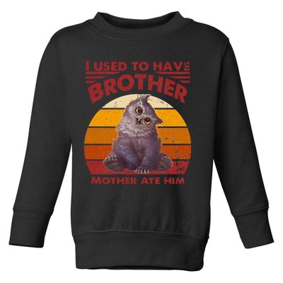 Owlbear Cub BaldurS Gate 3 I Used To Have Brother Vintage Toddler Sweatshirt