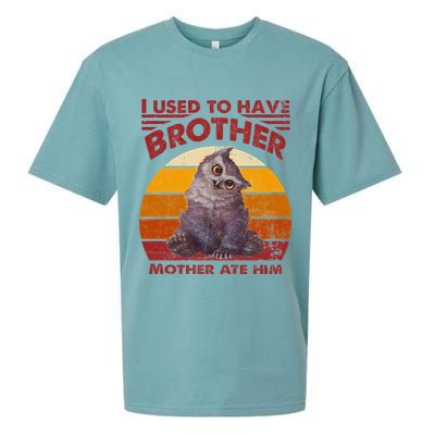 Owlbear Cub BaldurS Gate 3 I Used To Have Brother Vintage Sueded Cloud Jersey T-Shirt