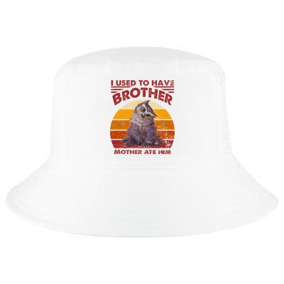 Owlbear Cub BaldurS Gate 3 I Used To Have Brother Vintage Cool Comfort Performance Bucket Hat