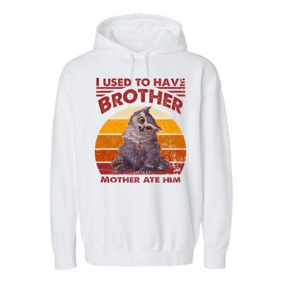 Owlbear Cub BaldurS Gate 3 I Used To Have Brother Vintage Garment-Dyed Fleece Hoodie