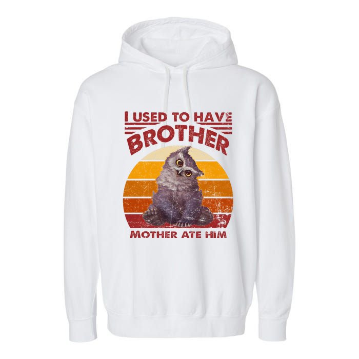 Owlbear Cub BaldurS Gate 3 I Used To Have Brother Vintage Garment-Dyed Fleece Hoodie