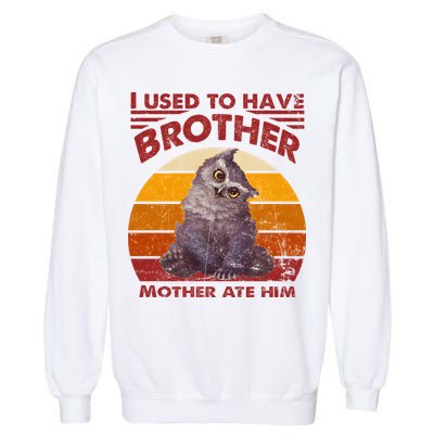 Owlbear Cub BaldurS Gate 3 I Used To Have Brother Vintage Garment-Dyed Sweatshirt