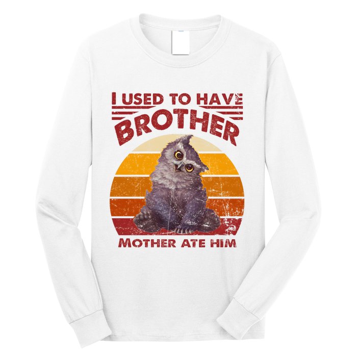 Owlbear Cub BaldurS Gate 3 I Used To Have Brother Vintage Long Sleeve Shirt