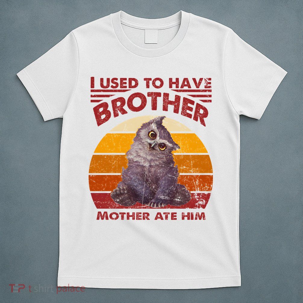 Owlbear Cub BaldurS Gate 3 I Used To Have Brother Vintage T-Shirt