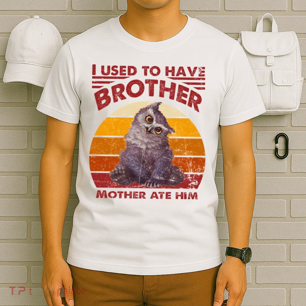 Owlbear Cub BaldurS Gate 3 I Used To Have Brother Vintage T-Shirt