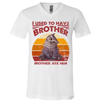 Owlbear Cub BaldurS Gate 3 I Used To Have Brother Vintage V-Neck T-Shirt