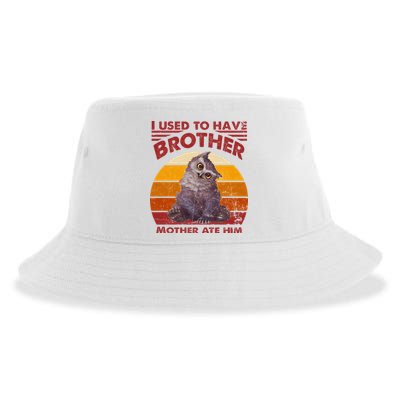 Owlbear Cub BaldurS Gate 3 I Used To Have Brother Vintage Sustainable Bucket Hat
